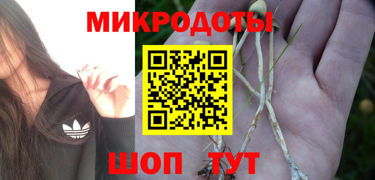Галлюциногенные грибы мухоморы  Вход с VPN  Зерноград  Галлюциногенные грибы Psilocybine cubensis 
